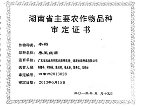 粵王絲苗審定證書