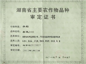 泰優（yōu）390審定證書