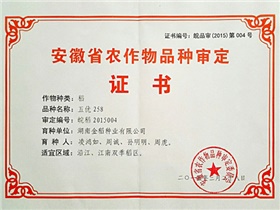 五優258審定證書正本