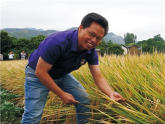 王（wáng）豐(研究員)