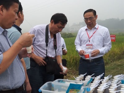 省農委主任劉宗林（lín）、副主任鄒永霞、糧油（yóu）處處長戴魁根及各市州農委主任在汨羅視察湘米工程高檔優質稻泰（tài）優390田間表現並進行米飯品嚐