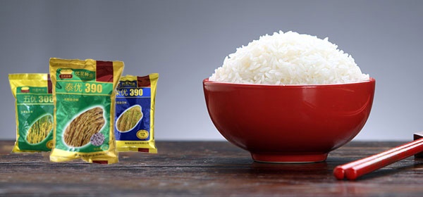 金稻相信，品質（zhì）是做出來的